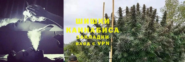 spice Абаза