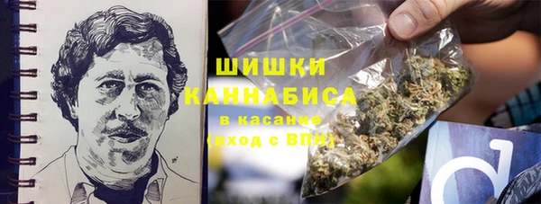 spice Абаза